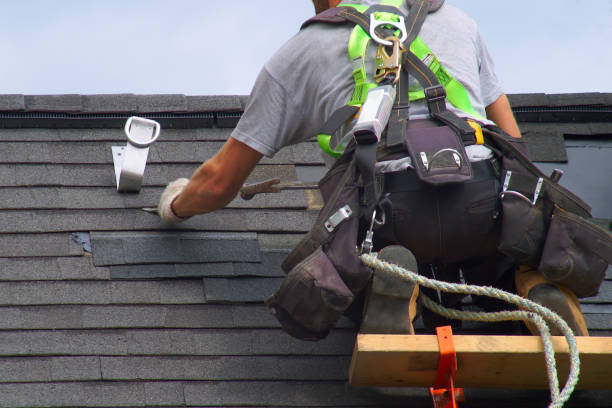 Best Chimney Flashing Repair  in Lake City, GA