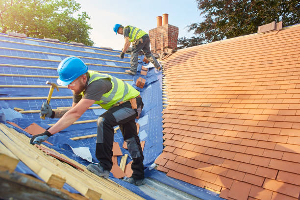 Best Rubber Roofing (EPDM, TPO)  in Lake City, GA